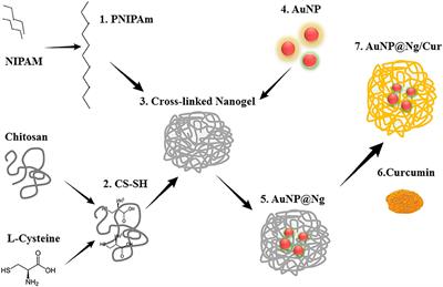 Stimuli-Responsive, Plasmonic Nanogel for Dual Delivery of Curcumin and Photothermal Therapy for Cancer Treatment